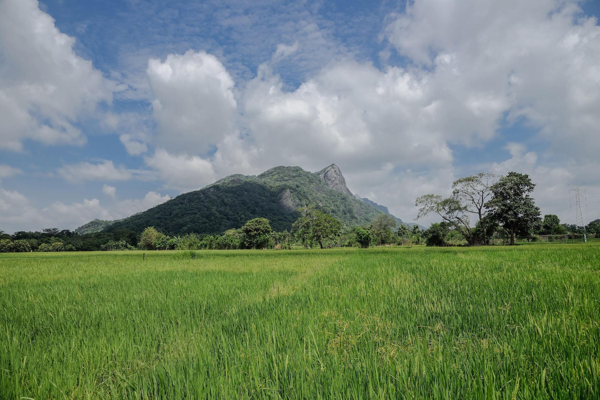 Kalundewa Retreat Hotel Dambulla Kültér fotó