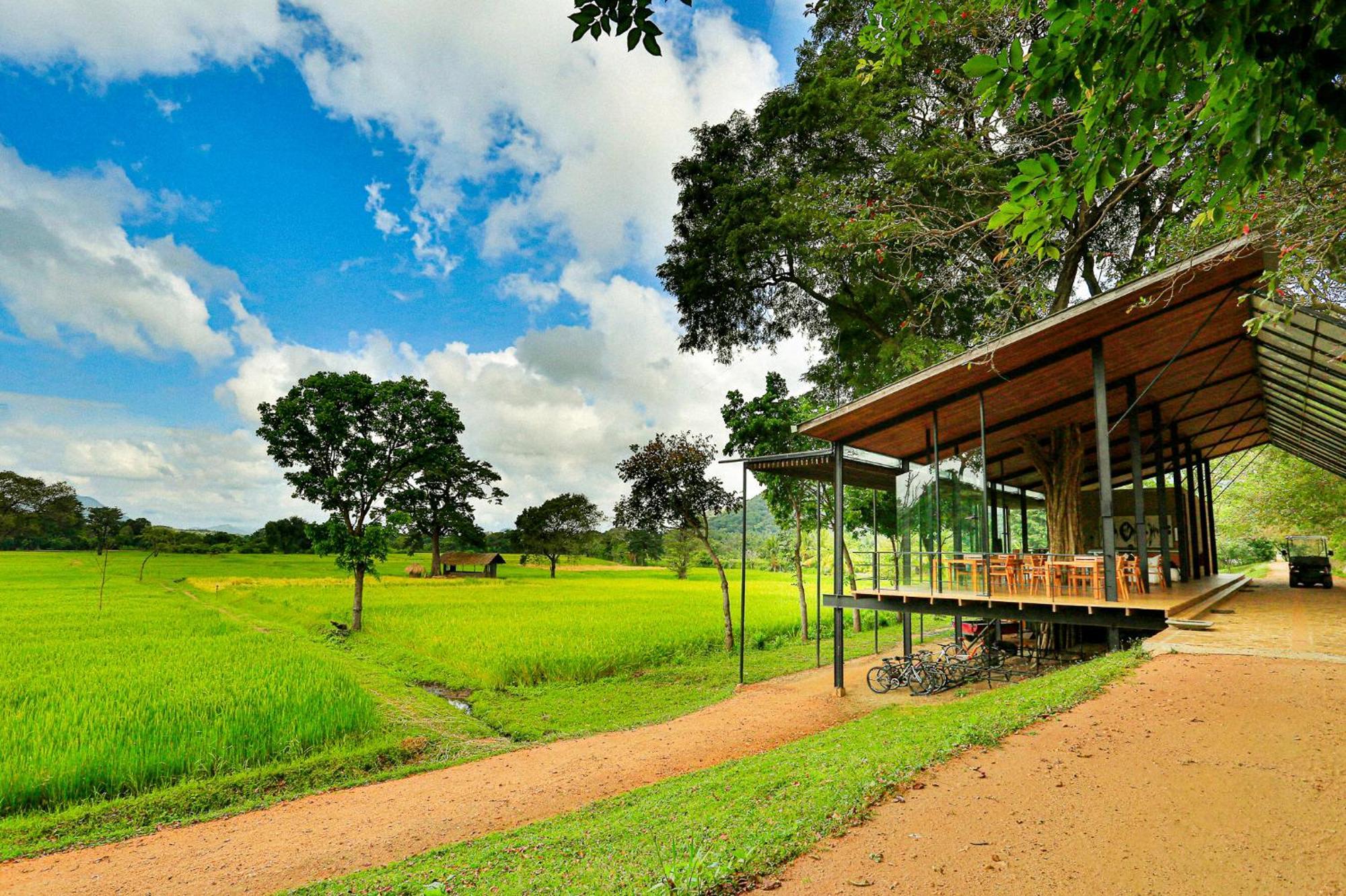 Kalundewa Retreat Hotel Dambulla Kültér fotó